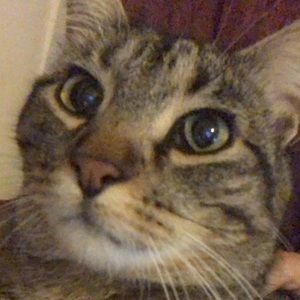 Meet your Posher, Layci